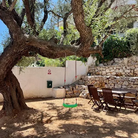 Palmitos Peniscola