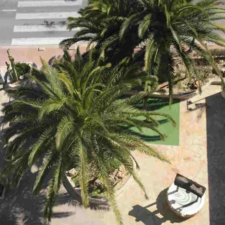 Apartment Florida Ii *