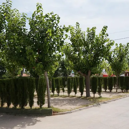 Campsite Pinos 2*