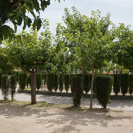 Pinos Peniscola
