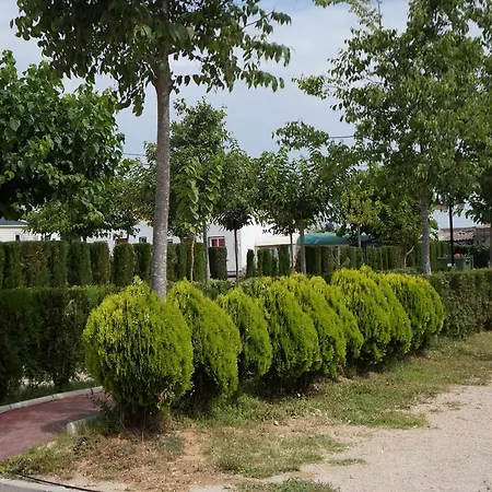 Campsite Pinos