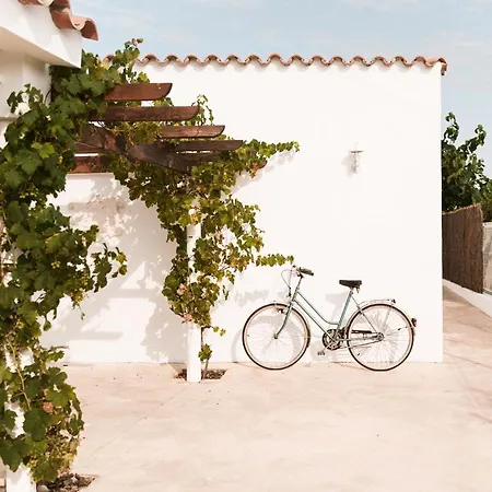Villa Villa Mediterranea En Peniscola Con Piscina Privada *
