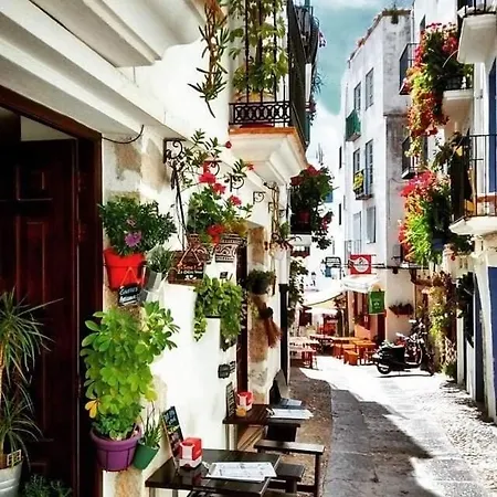 Patios La Casa De San Valentin