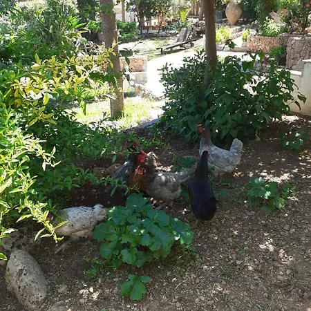 La Maravilla Accommodatie bij particulieren Peñíscola