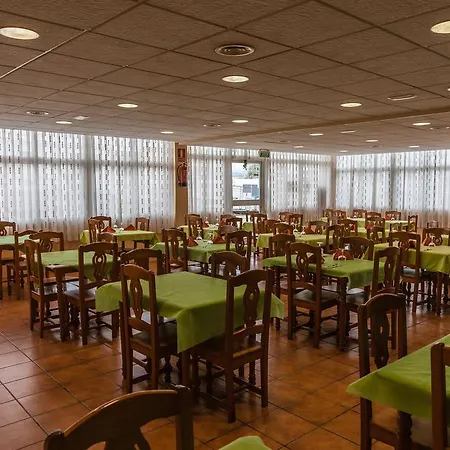 Pinos Peñíscola