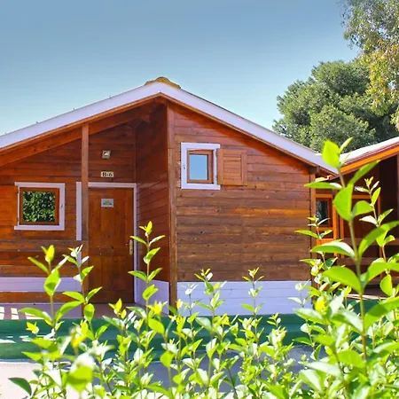 Campsite El Cid