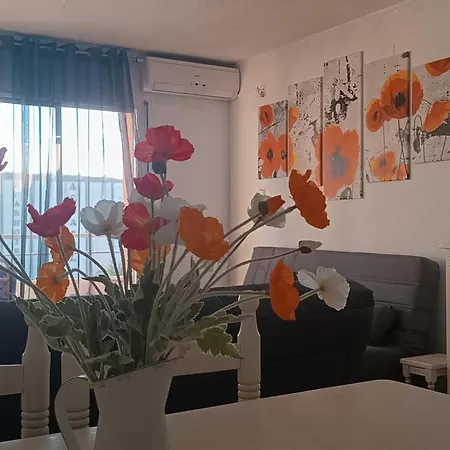 Estudio Penismar Peniscola