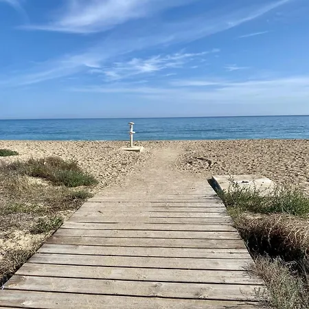 Azahar Cerca De La Playa * Peniscola