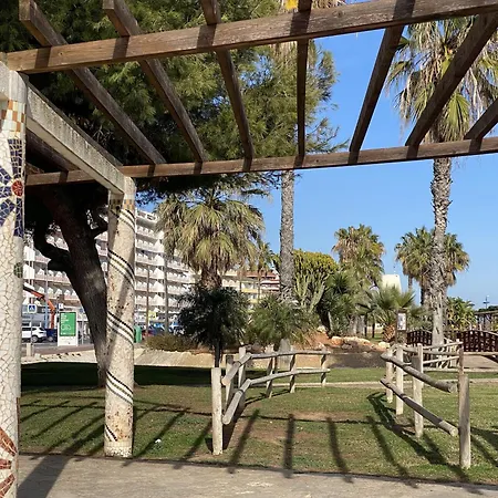 Azahar Cerca De La Playa Peniscola