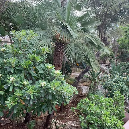 Jamaica Apartment