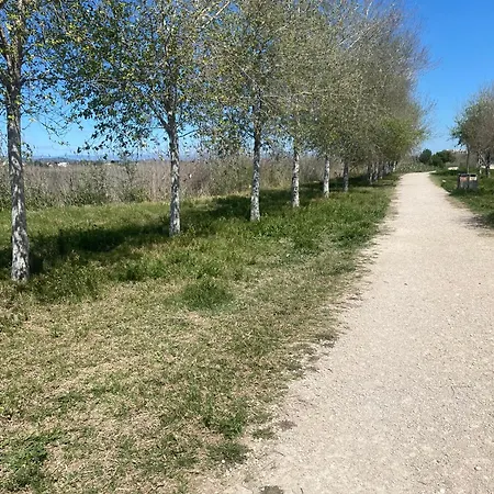 Alquiler Vacacional Peniscola