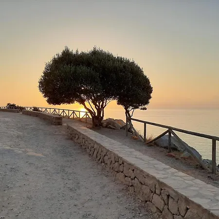 Paradise In Font Nova