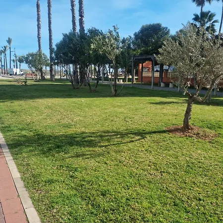 La Palmera *