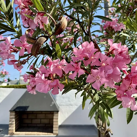 Holiday home Retama Somhome *