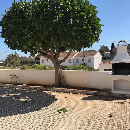 Tarongers 8 * Peniscola