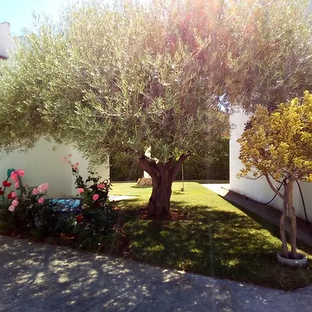 Apartment Les Illes