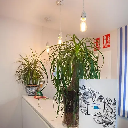 Boutique Barra Alta (adults Only)