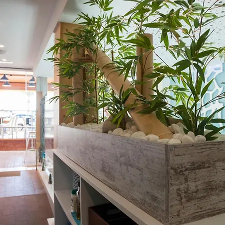 Boutique Barra Alta (adults Only) Peniscola