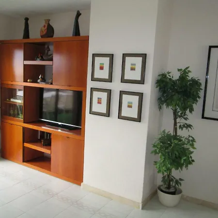 Apartment Atico Albatros Ii