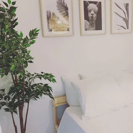 Apartment Marco Penismar