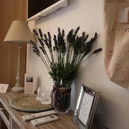 Guest house Boutique Olvido 22 Adults Only 3*