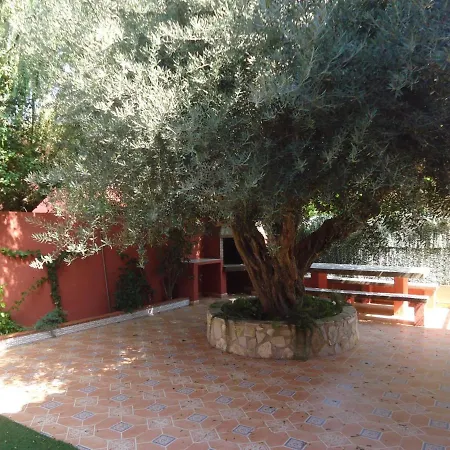 Mediterraneo 2005 Family Complex Lek
