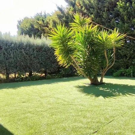 Tabarca Con Jardin Y Piscina Comunitaria