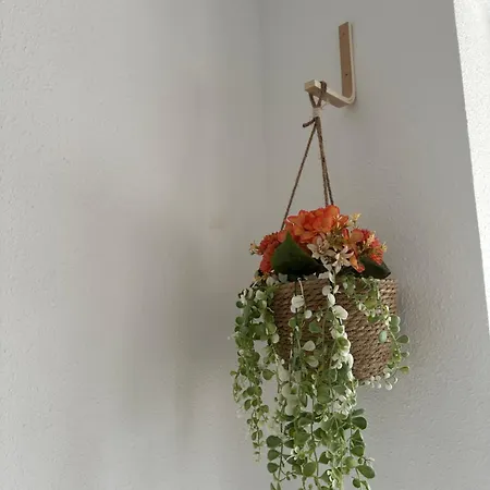 Meleta Apartment