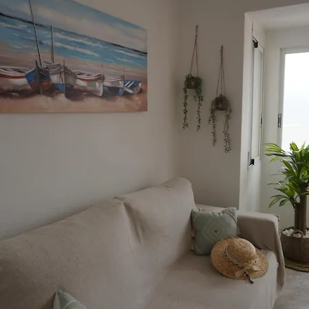 Apartment Meleta