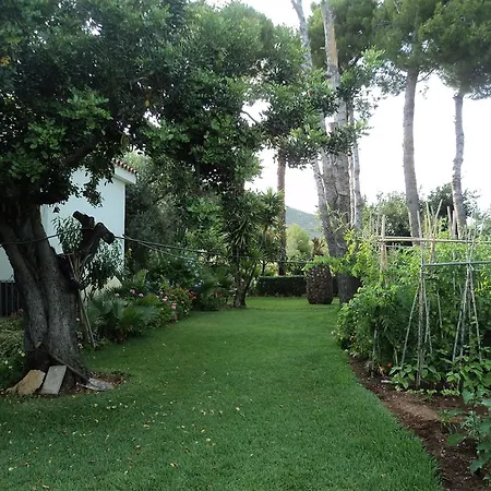 With 3 Bedrooms In Peniscola, With Private Pool And Terrace - 3 *